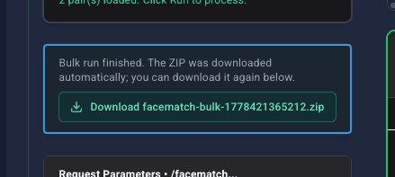 Bulk run finished panel with automatic download message and Download ZIP button